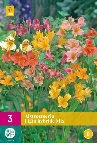 JUB Holland Alstroemeria Ligtu Hyb. Mix