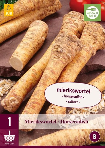 JUB Holland Armoracia Rusticana - Mierikswortel