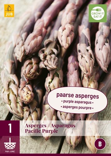 JUB Holland Asparagus Pacific Purple