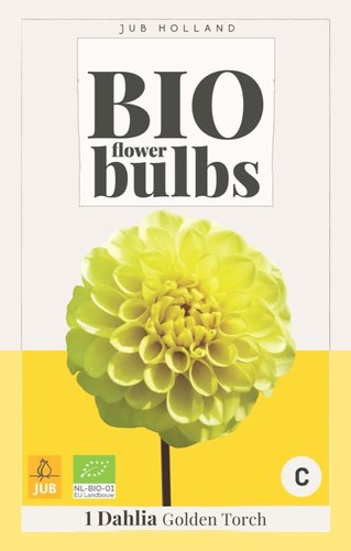 JUB Holland Bio Dahlia Golden Torch