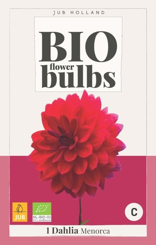 JUB Holland Bio Dahlia Menorca