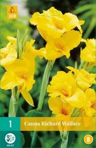 JUB Holland Canna Richard Wallace