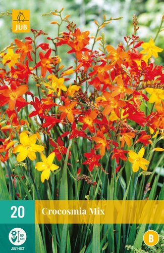 JUB Holland Crocosmia Mix