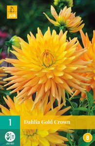 JUB Holland Dahlia Gold Crown