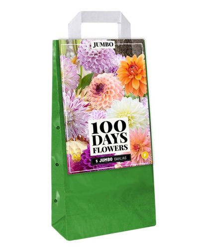 JUB Holland Draagtas 5 Dahlia Jumbo Mix