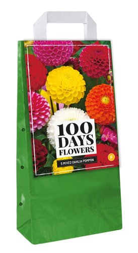 JUB Holland Draagtas 5 Dahlia Pompon Mix