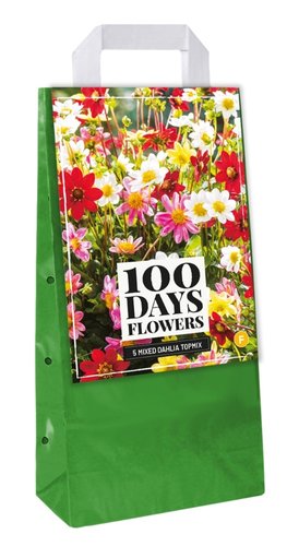 JUB Holland Draagtas 5 Dahlia Topmix Mix