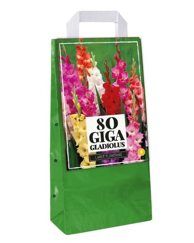 JUB Holland Draagtas 80 Gladiolus Mix