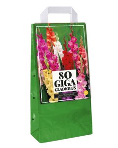 JUB Holland Draagtas 80 Gladiolus Mix