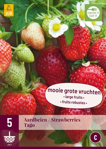 JUB Holland Fragaria Tago