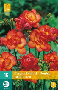 JUB Holland Freesia Dubbel Rood