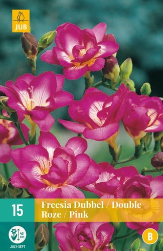 JUB Holland Freesia Dubbel Roze