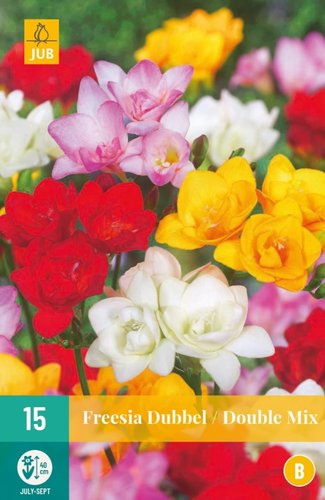 JUB Holland Freesia Enkel Mix