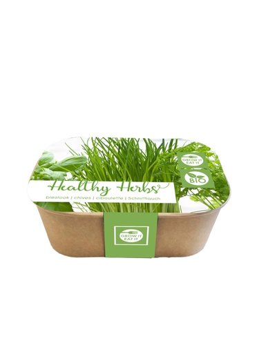 JUB Holland Healthy Herbs Box, Bieslook (Bio)