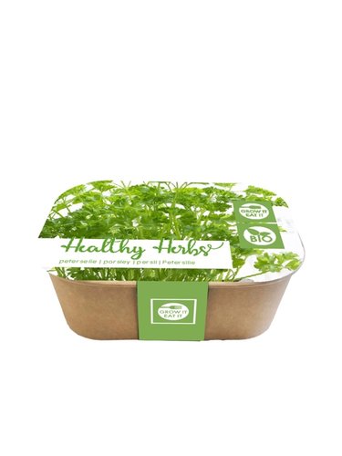 JUB Holland Healthy Herbs Box, Peterselie (Bio)