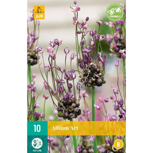 JUB Holland Allium Art