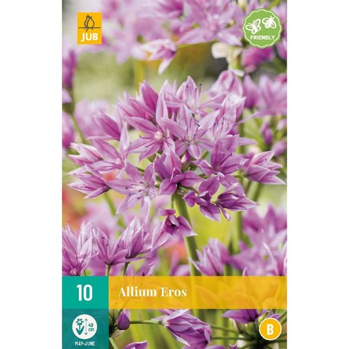 JUB Holland Allium Eros