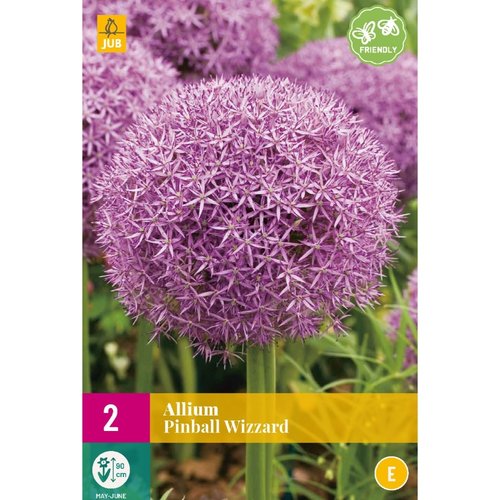 JUB Holland Allium Pinball Wizzard