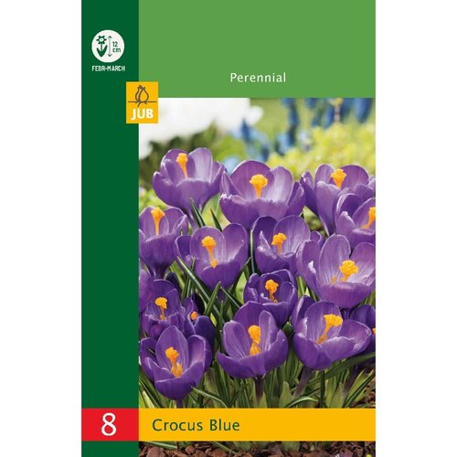 JUB Holland Crocus Blauw