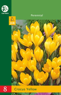 JUB Holland Crocus Geel