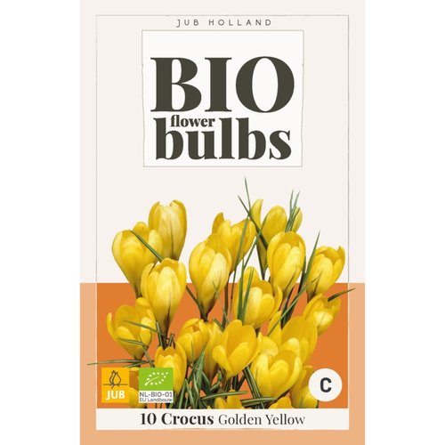 JUB Holland Crocus Golden Yellow - bio