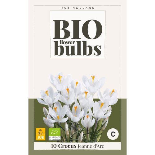 JUB Holland Crocus Jeanne d'Arc - bio