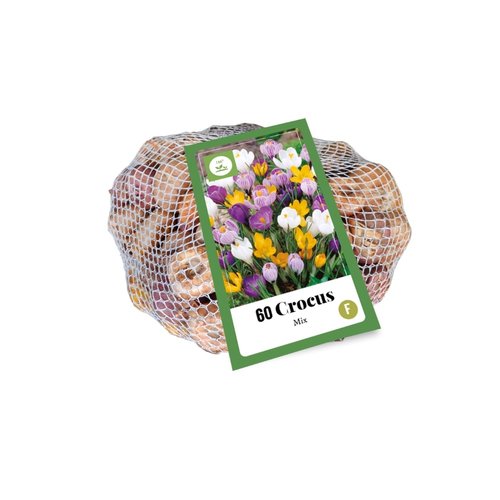 JUB Holland Crocus Mix