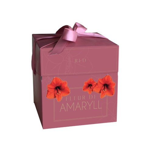 JUB Holland Fleur D'Amaryll Red