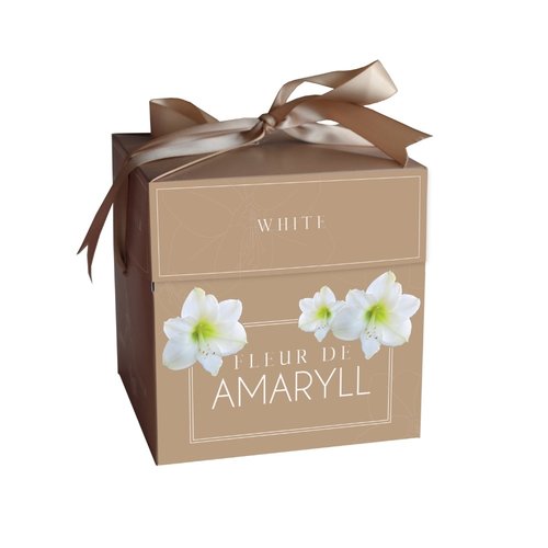 JUB Holland Fleur D'Amaryll White