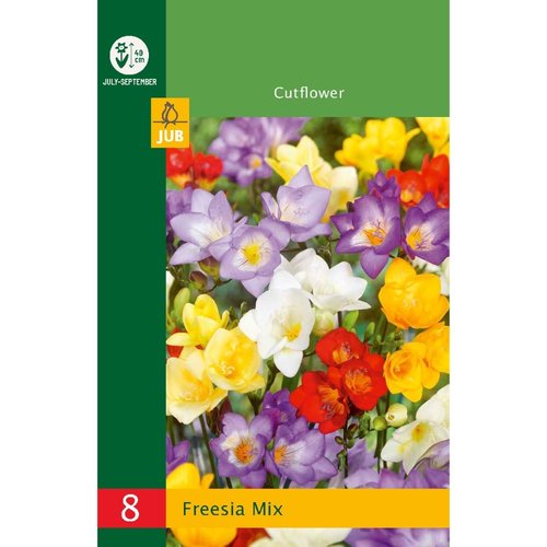 JUB Holland Freesia Mix