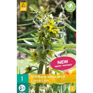 JUB Holland Fritillaria Green Eyes