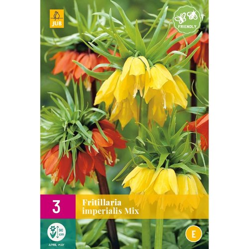 JUB Holland Fritillaria imperialis Mix