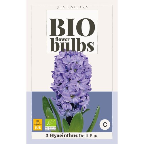 JUB Holland Hyacinthus Delft Blue - bio