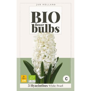 JUB Holland Hyacinthus White Pearl - bio