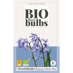 JUB Holland Hyacinthushoides hispanica Blauw - bio