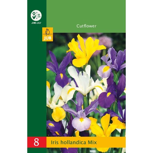 JUB Holland Iris hollandica Mix