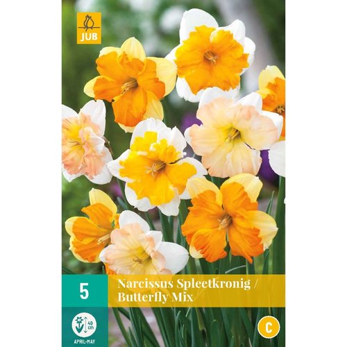 JUB Holland Narcissus Butterfly Mix
