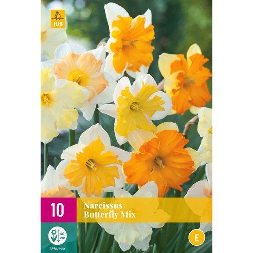JUB Holland Narcissus Butterfly Mix