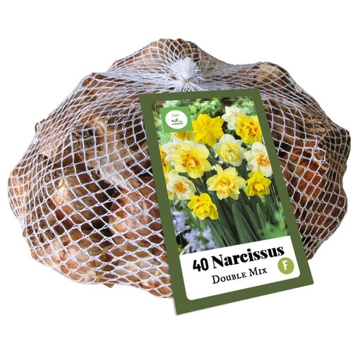 JUB Holland Narcissus Dubbel Mix