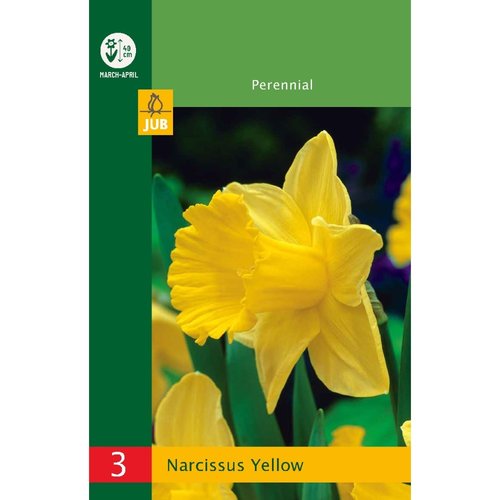 JUB Holland Narcissus Geel