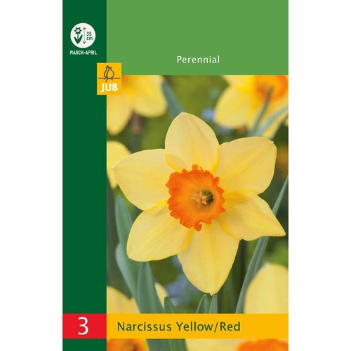 JUB Holland Narcissus Geel-Rood