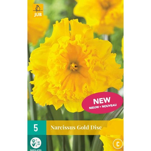 JUB Holland Narcissus Gold Disc