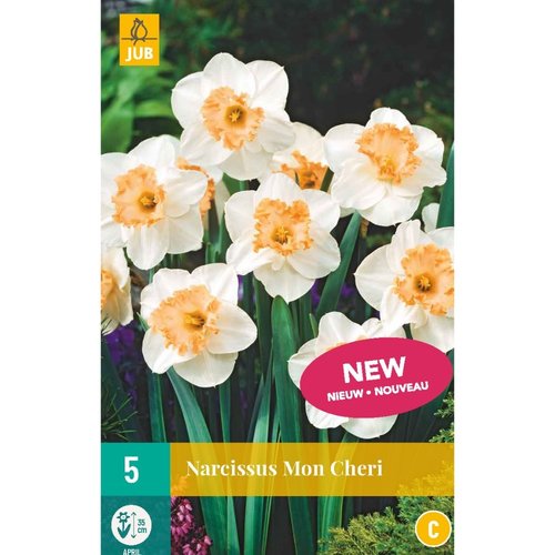 JUB Holland Narcissus Mon Cheri