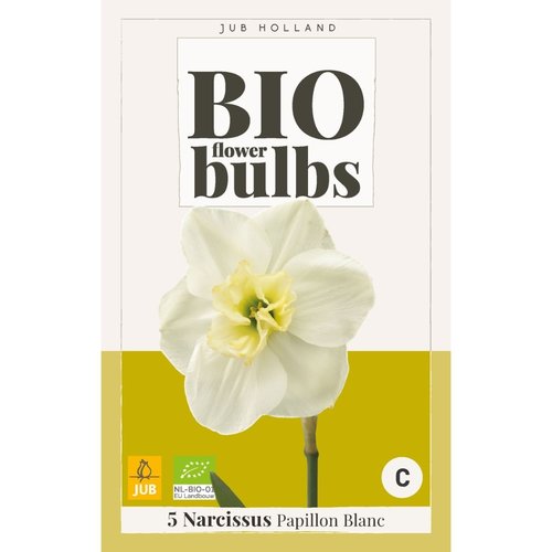JUB Holland Narcissus Papillon Blanc - bio