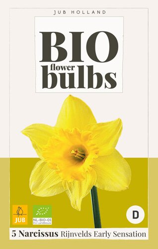JUB Holland Narcissus Rijnvelds Early Sensation - bio