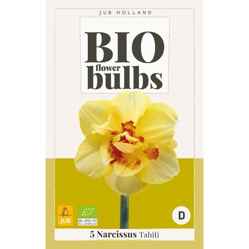 JUB Holland Narcissus Tahiti - bio