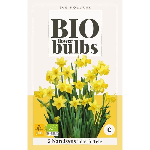 JUB Holland Narcissus Tête-à-Tête - bio