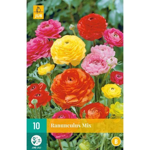 JUB Holland Ranunculus Mix
