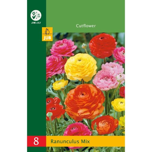 JUB Holland Ranunculus Mix
