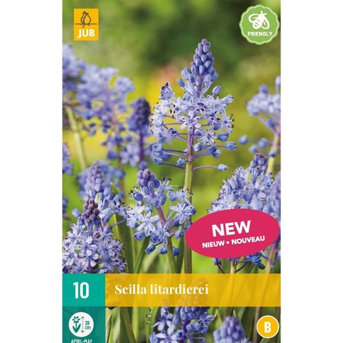 JUB Holland Scilla litardierei